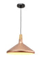 Pendant Light 1120-B GD