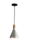 Pendant light 1120-S S