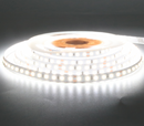 2835 24V 36W 16FT 5000K Cool White Flexible LED Strip Light IP33 Non-Waterproof