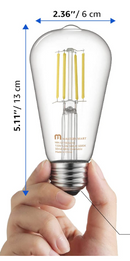 5.5W ST19/21 LED Light Bulb 5000K Cool White Daylight 500Lm