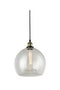 Pendant Light YG17014-1P